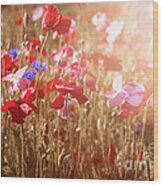 Poppies In Sunny Meadow Wood Print