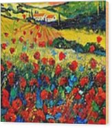 Poppies In Tuscany  #4 Wood Print