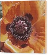 Poppy Flower #2 Wood Print