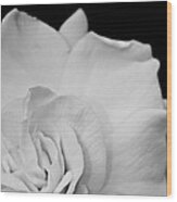 Black And White Flower Wood Print
