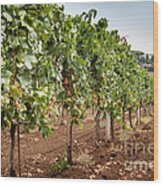 Rows On Vines With A Mechanical Harvester In The Distance Harves #2 Wood Print