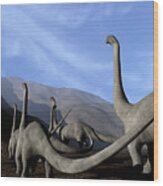 Sauropod Dinosaurs #2 Wood Print