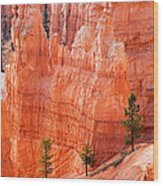 Sunrise Point Bryce Canyon National Park #2 Wood Print