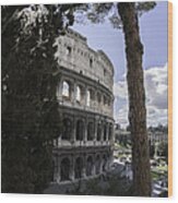 The Roman Coliseum Wood Print