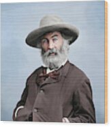 Walt Whitman Portrait Circa 1861-1865 #2 Wood Print