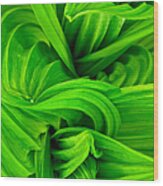 Wavy Green Wood Print