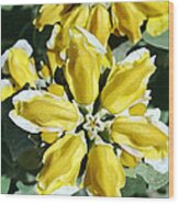 Yellow Wildflowers Wood Print