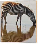 Zebra At Waterhole #1 Wood Print