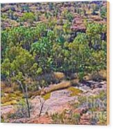 Palm Valley Central Australia  #20 Wood Print