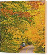 Classic Vermont Foliage. #11 Wood Print