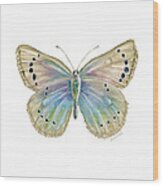25 Alexis Butterfly Wood Print