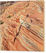 Valley Of Fire #210 Wood Print