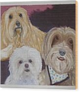 3 Cute Dogs Wood Print