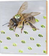 Honeybee Radar Tagging #3 Wood Print