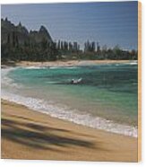 Kauai Beach #3 Wood Print