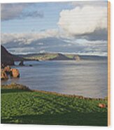 Ladram Bay #3 Wood Print