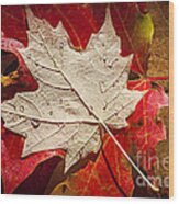 Maple Leaves In Water Wood Print
