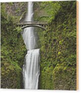 Multnomah Falls #3 Wood Print