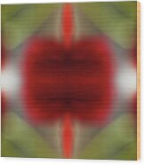 Red Ranunculus #3 Wood Print