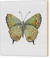 38 Hesseli Butterfly Wood Print