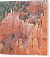 Bryce Canyon #21 Wood Print