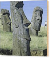 Easter Island #4 Wood Print