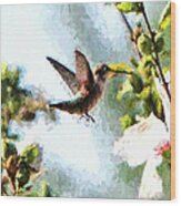 Hummingbird #23 Wood Print