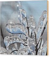 Ice Storm Snowball Bush #4 Wood Print