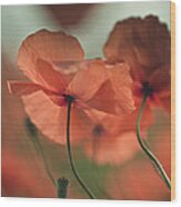 Poppy Meadow #4 Wood Print