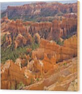 Sandstone Hoodoos, Bryce Canyon Wood Print