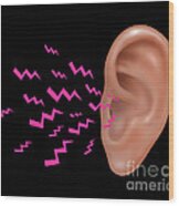 Sound Entering Human Outer Ear Wood Print