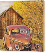 46 Chevy In The Weeds Wood Print