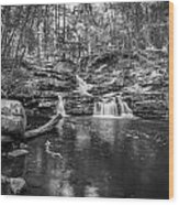 Waterfalls George W Childs National Park Painted Bw   #5 Wood Print