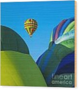 Balloon Fiesta, Socorro, New Mexico Wood Print