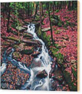 Chesterfield Gorge New Hampshire #5 Wood Print