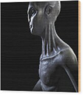 Extraterrestrial Life #5 Wood Print