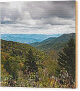 Great Smoky Mountains #5 Wood Print
