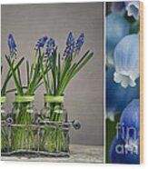 Hyacinth Still Life #5 Wood Print
