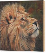 Lion #5 Wood Print