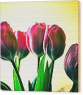 5 Pink Tulips Wood Print