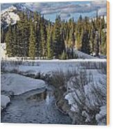 Wasatch Mountains In Winter #5 Wood Print