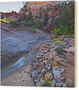 Zion National Park Utah Usa #58 Wood Print