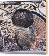 Ruffed Grouse #6 Wood Print