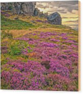 Cow And Calf Rocks #7 Wood Print