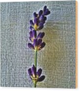 Lavender On Linen 2 Wood Print