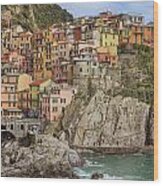 Manarola #7 Wood Print