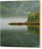 Usa, Alaska, Inside Passage #7 Wood Print