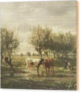 Cows At A Pond Wood Print