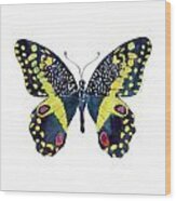 73 Citrus Butterfly Wood Print