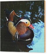 Chinese Duck Wood Print